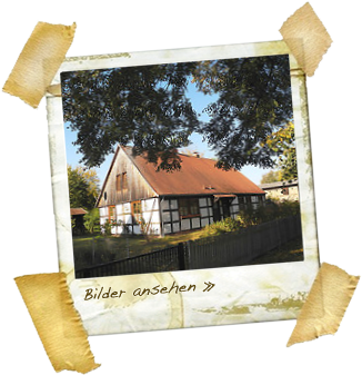 Abbildung zur Immobilie »Das schönste Haus in Bebersee«